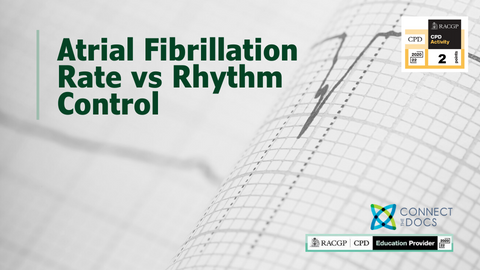 Atrial Fibrillation Rate vs Rhythm Control